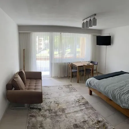 ***new*** Cozy Studio In Center Of Saas Fee